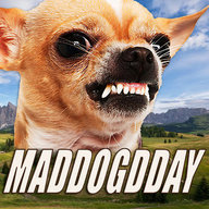 maddogdday