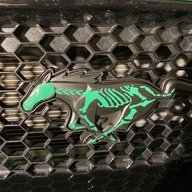 Green Pony