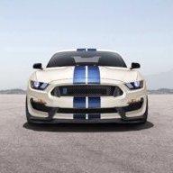 Shelby#098