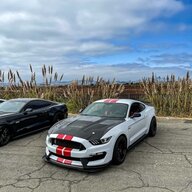 1evl_gt350