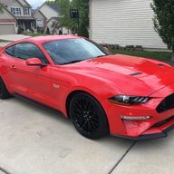 Stang Collector