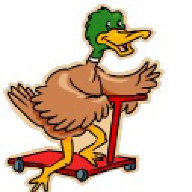 Roadduck