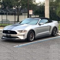 Snakebyte