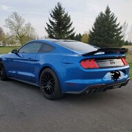 MNstang