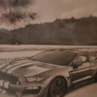 Shelby3502020
