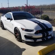 Mendo*gt350r