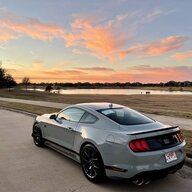 kglonghorn