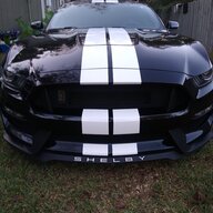 Spodie5.0