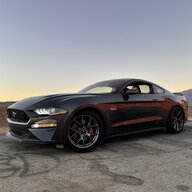 Mustang_Lover