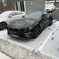 blk_bean_s550