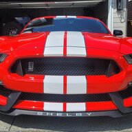 fat-kid-GT350