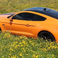 Orange Peel