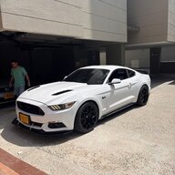 Mustangcol
