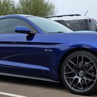 BlueStang16
