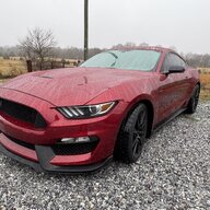 GT350dude