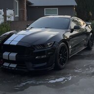 Rayesean
