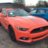 MustangDan