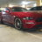 MustangNewbie