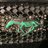 Green Pony
