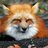 SnowFox