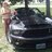 myshelbymustang