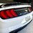 steve_2020