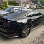 Recent Posted Photos (Random Order)