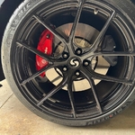 Recent Posted Photos (Random Order)