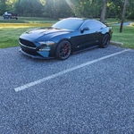 Recent Posted Photos (Random Order)