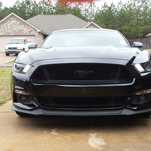 2015 Black GT/PP