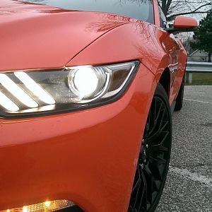 My Mustang GT