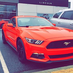 My Ecoboost