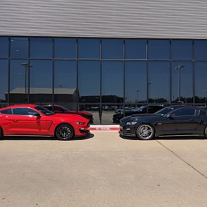 2015 Mustang and my other Mustang Pictures