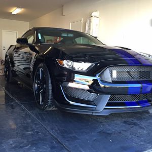 2016 GT350 Black with Blue stripes after clay bar and wax!