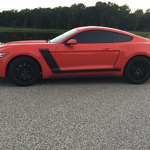 2015 GT