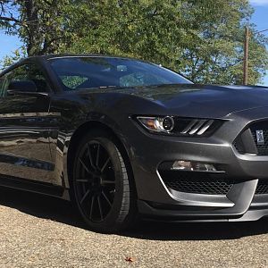 2017 GT 350 Magnetic