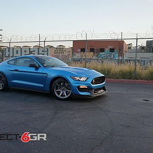 Shelby GT350 Matte Blue wrap with Project 6GR wheels
