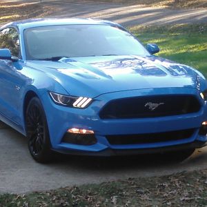 Grabber Mustangs