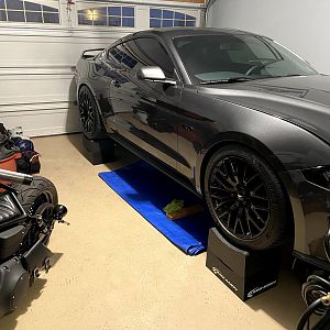 2019 Mustang GT