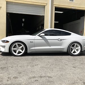 Hooch0094's 2019 Oxford White GT