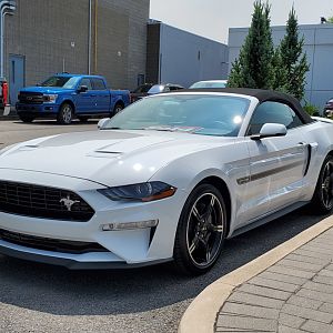 2019 GT Convertible California Special