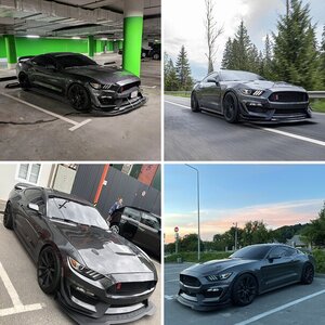Mustang in Ukraine
