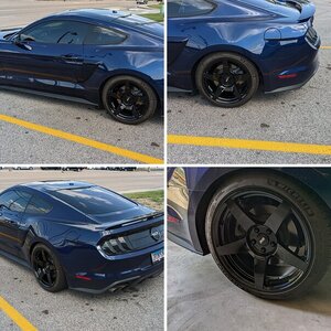 My 2019 Mustang GT Premium California Special In Kona Blue