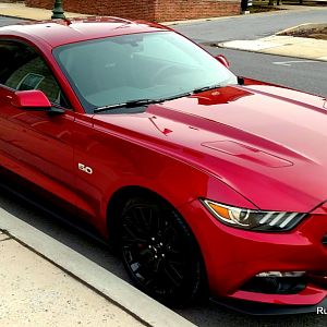 Marc's Ruby Red Mustang GT heading home after stopping for lunch