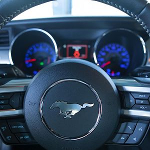 Dad'sMustang 0427