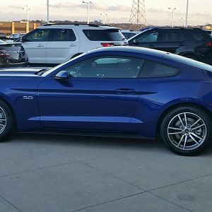 My Mustang 2