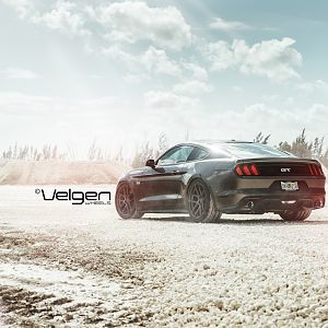 2015 Mustang GT Magnetic Grey on Velgen Wheels
VMB5s Matte Gunmetal 
20x9 & 20x10.5

http://velgenwheels.com