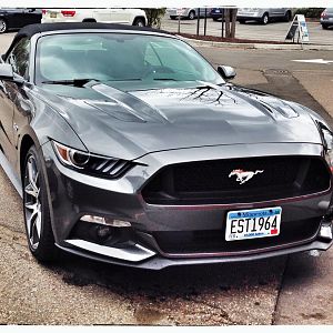 mustang with plate