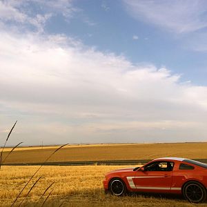 "Rukus" 
1 of 69 2012 Boss 302's built in Comp Orange/White, 1 of 47 with all options (mats, cover, recaro's, Torsen)

Car #0007

First Comp/Oran