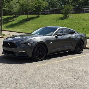 2015 Mustang GT PP